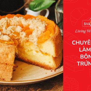 Khóa học làm bánh bông lan trứng muối