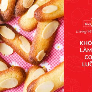 Khóa học hướng dẫn làm bánh cookie lưỡi mèo